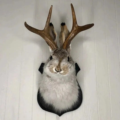 Wall Mounted Jackalope Figure for Home Decor