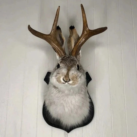 Wall Mounted Jackalope Figure for Home Decor
