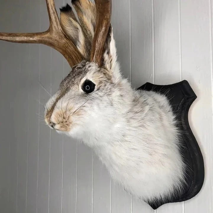 Wall Mounted Jackalope Figure for Home Decor