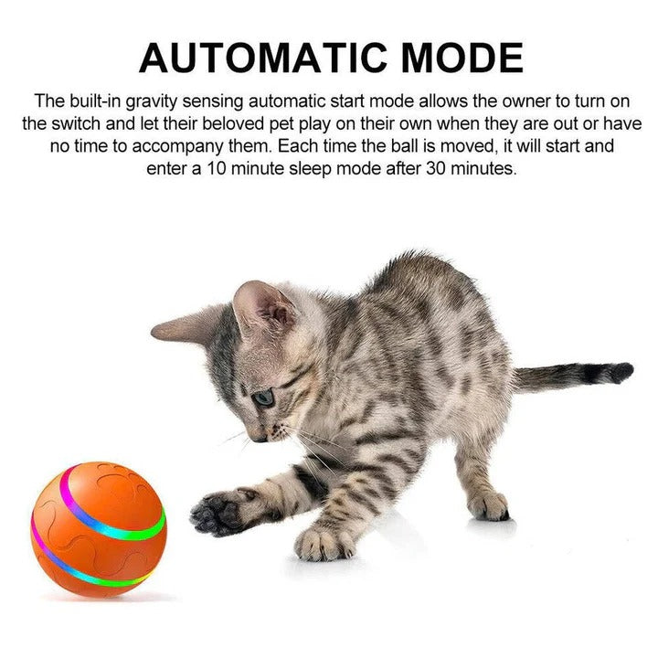Interactive Pet Ball Toy with Motion Feature