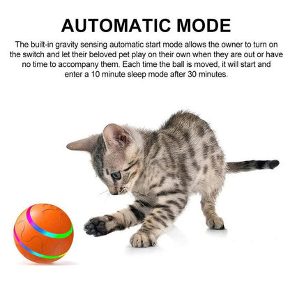 Interactive Pet Ball Toy with Motion Feature