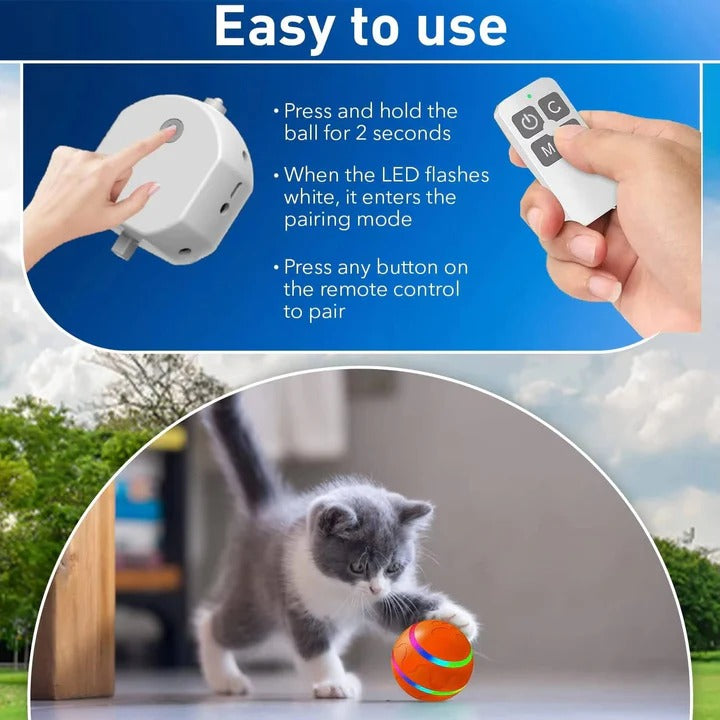 Interactive Pet Ball Toy with Motion Feature