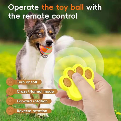 Interactive Pet Ball Toy with Motion Feature