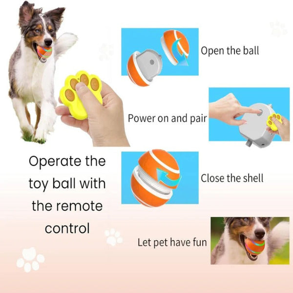 Interactive Pet Ball Toy with Motion Feature