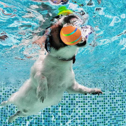 Interactive Pet Ball Toy with Motion Feature