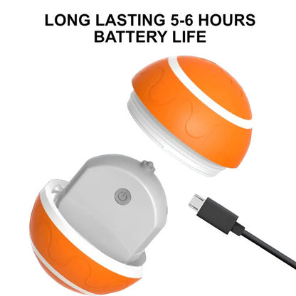 Interactive Pet Ball Toy with Motion Feature