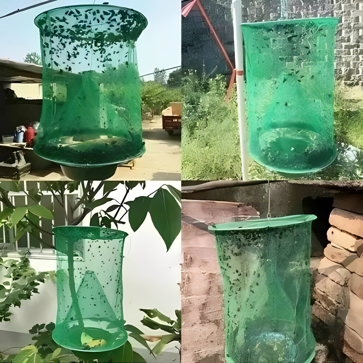 Reusable Fly Trap with Bait Container for Outdoor Use