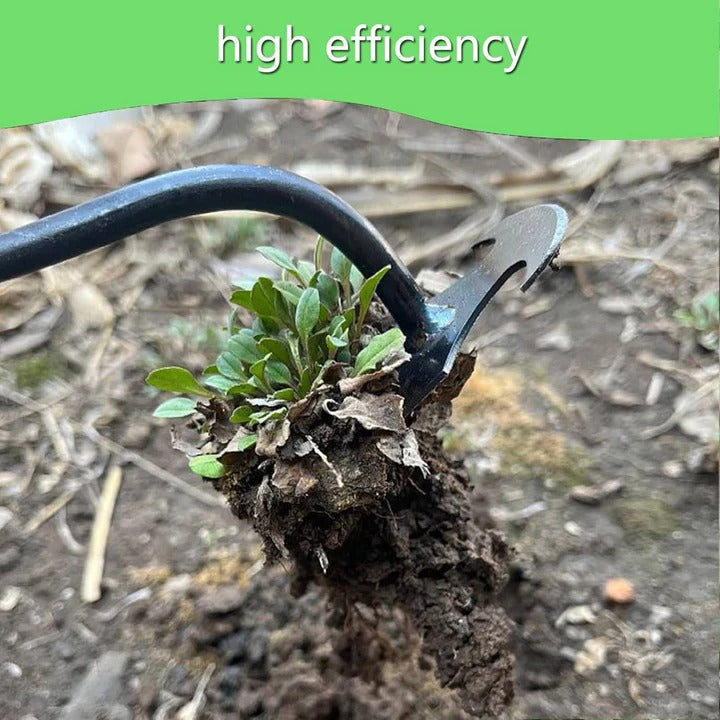 Hand Weeding Tool Remover with Four Steel Teeth for Lawn Care