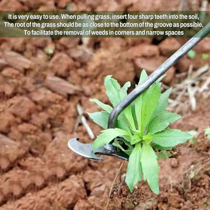 Hand Weeding Tool Remover with Four Steel Teeth for Lawn Care