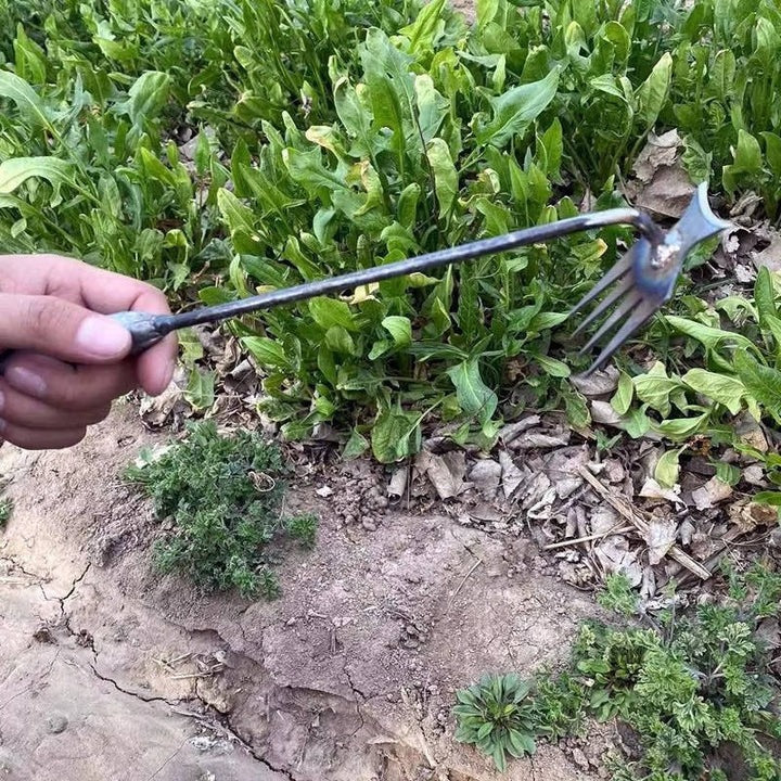 Hand Weeding Tool Remover with Four Steel Teeth for Lawn Care