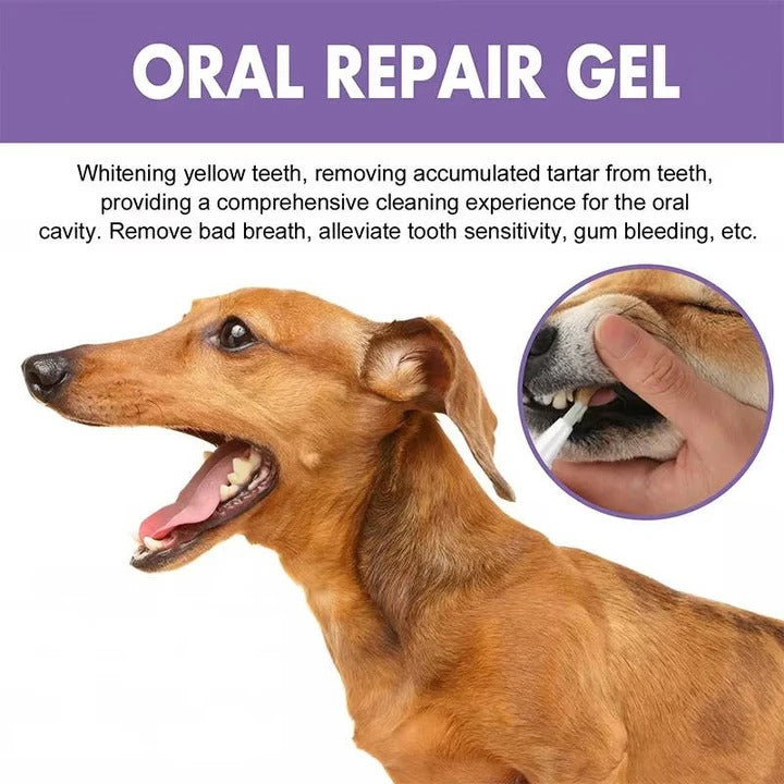 Dog Oral Gel for Teeth and Gum Care, Set of 3