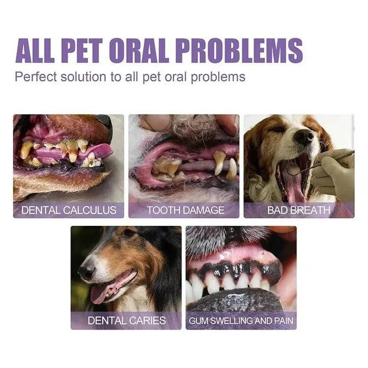 Dog Oral Gel for Teeth and Gum Care, Set of 3