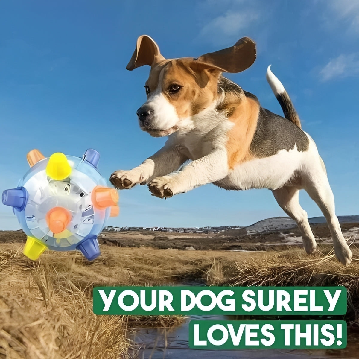 Rechargeable Dog Ball Toy with Jumping and Bouncing Action