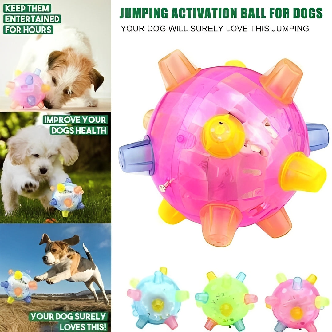 Rechargeable Dog Ball Toy with Jumping and Bouncing Action