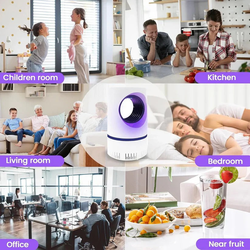 USB Powered Insect Trap with UV Light and Removable Tray