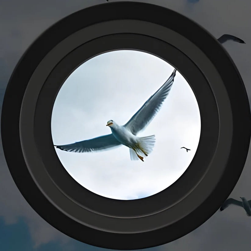 Handheld Binoculars for Darkness with Long Range