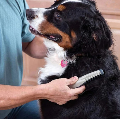 Pet Grooming Brush for Detangling and Coat Maintenance