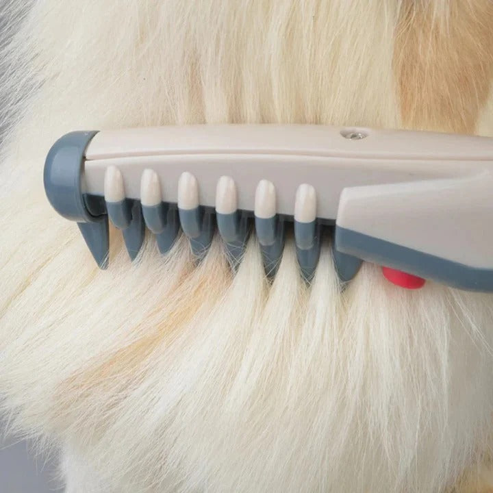 Pet Grooming Brush for Detangling and Coat Maintenance