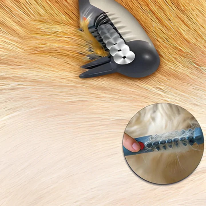 Pet Grooming Brush for Detangling and Coat Maintenance