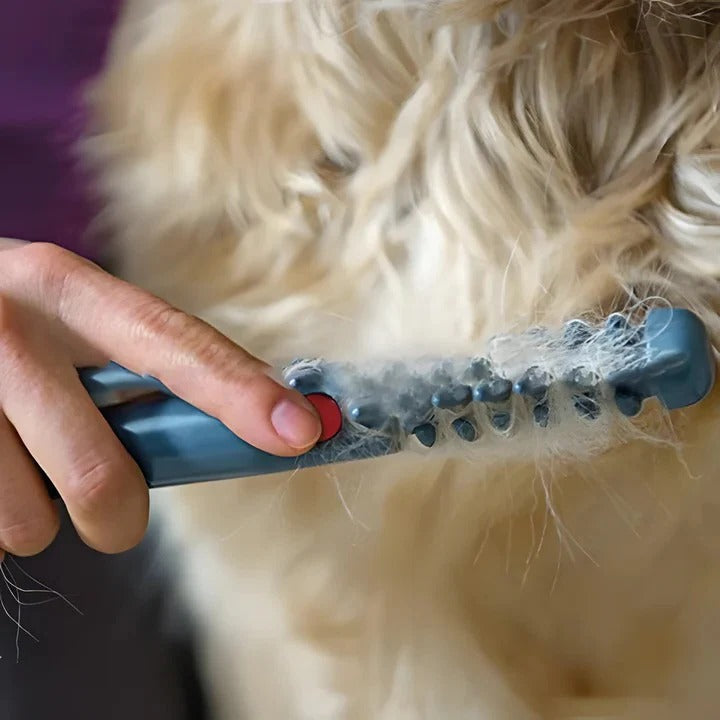 Pet Grooming Brush for Detangling and Coat Maintenance