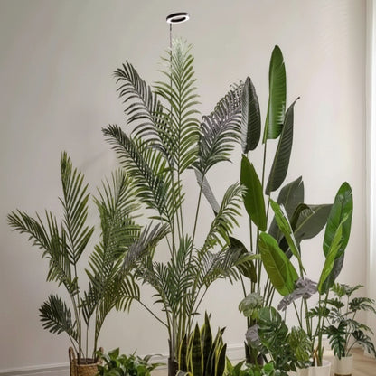 LED Grow Light for Indoor Plants with Adjustable Height and Timer