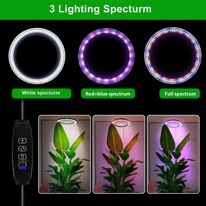 LED Grow Light for Indoor Plants with Adjustable Height and Timer