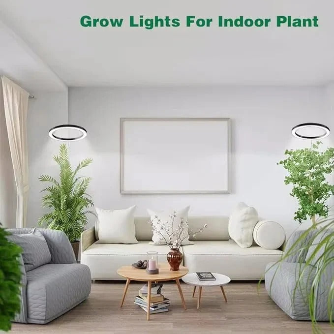 LED Grow Light for Indoor Plants with Adjustable Height and Timer