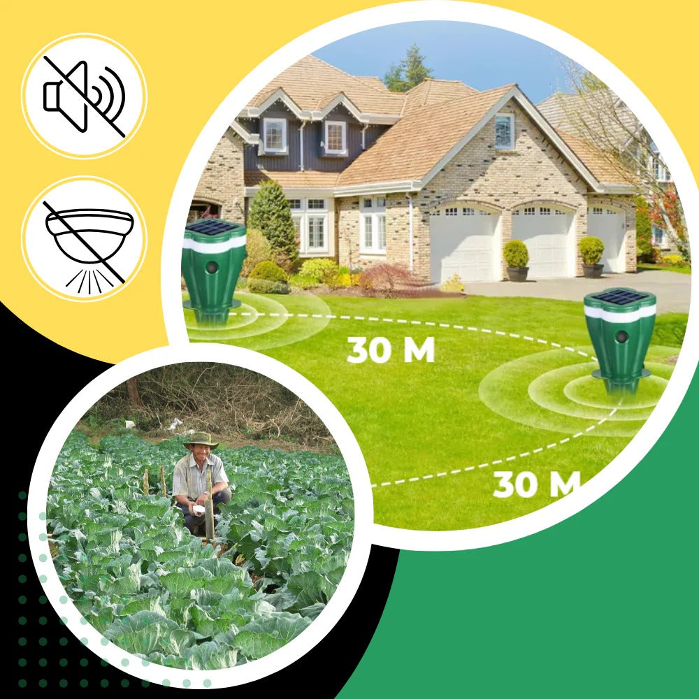 Professional Solar Groundhog Repellent