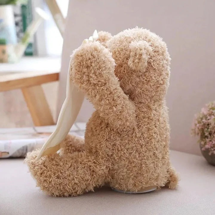 Peek A Boo Teddy Plush Toy for Baby Playtime