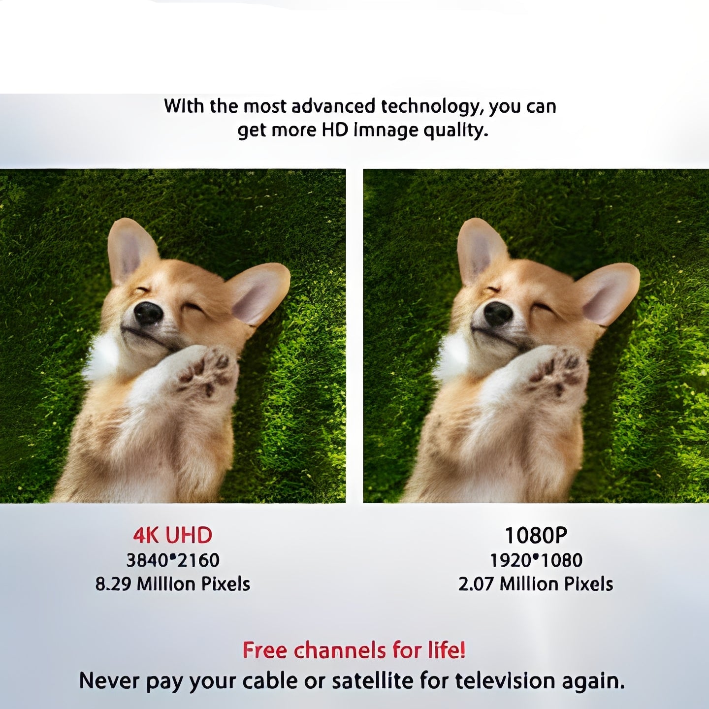 Digital Television Antenna with VHF and UHF Support