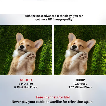 Digital Television Antenna with VHF and UHF Support