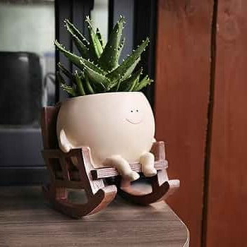 Smiling Face Resin Planter for Small Indoor Plants
