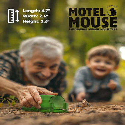 Reusable Mouse Trap Containers with One Way Entrance, Set of 4