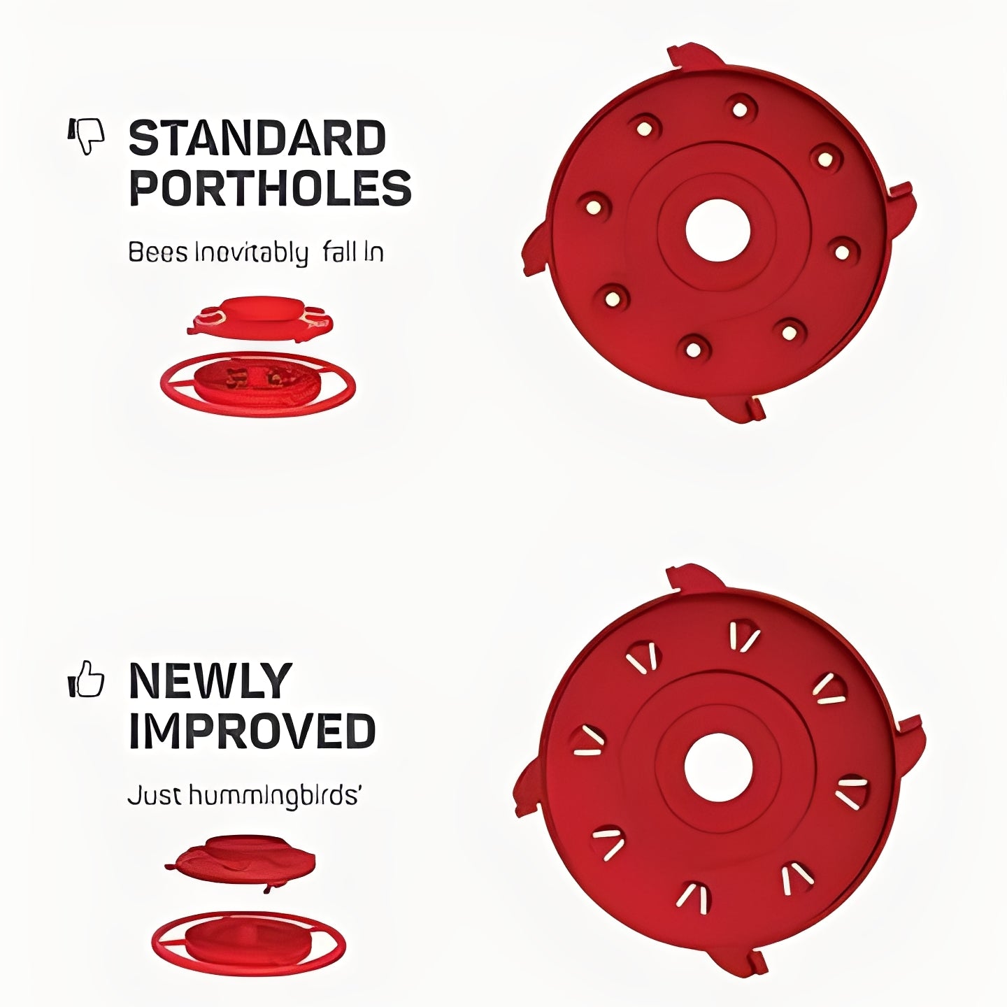 Hanging Red Water Feeder with Perches and Ant Moat