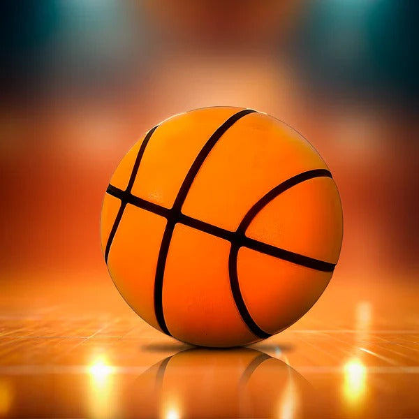 Low-Noise Basketball, Indoor Soft Ball for Training and Practice