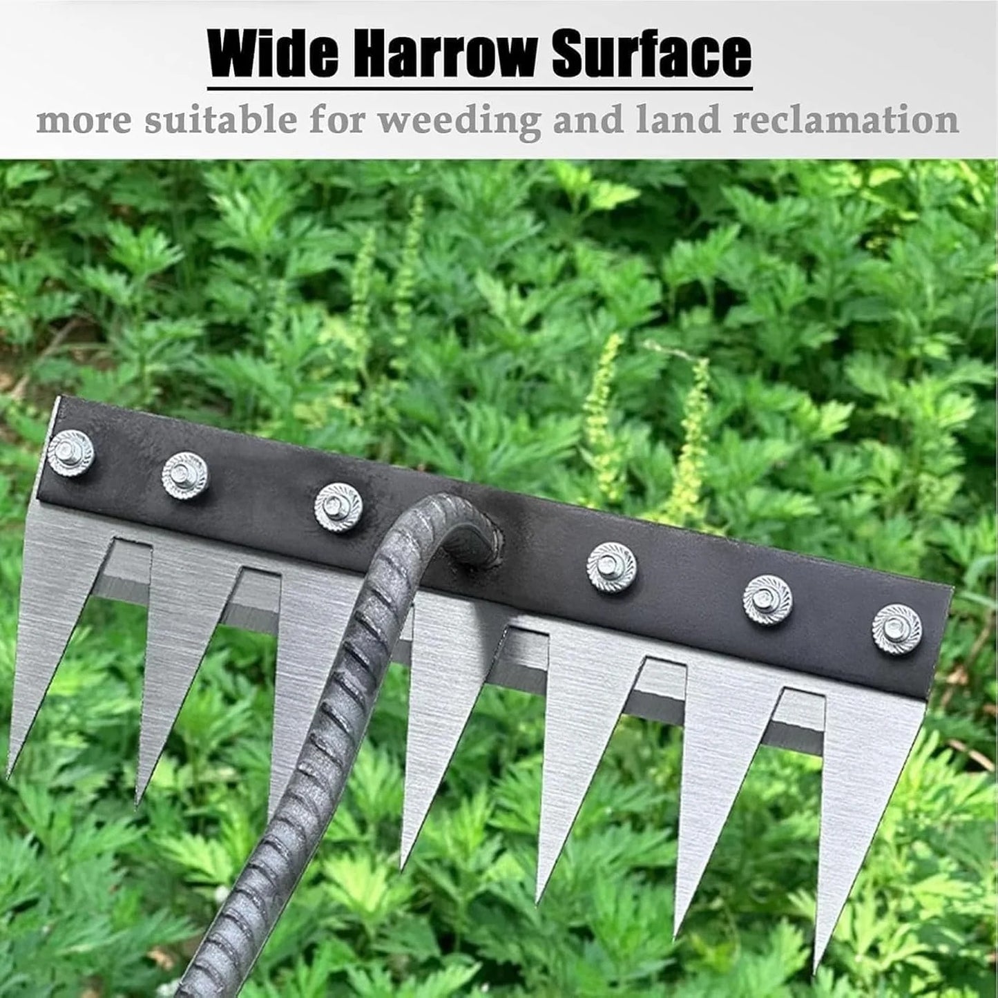 Durable Iron Weeding Rake for Lawn and Garden Maintenance