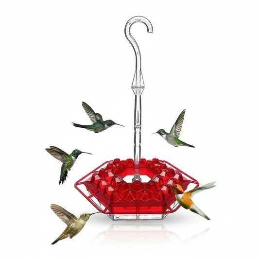 Hanging Hummingbird Feeder with 30 Ports and 12oz Capacity