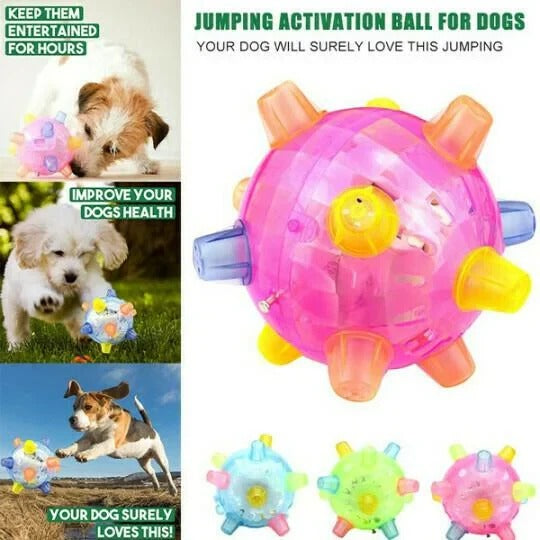 LED Jumping Ball for Dogs, Interactive Bouncing Light-Up Toy