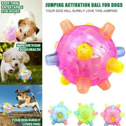 LED Jumping Ball for Dogs, Interactive Bouncing Light-Up Toy