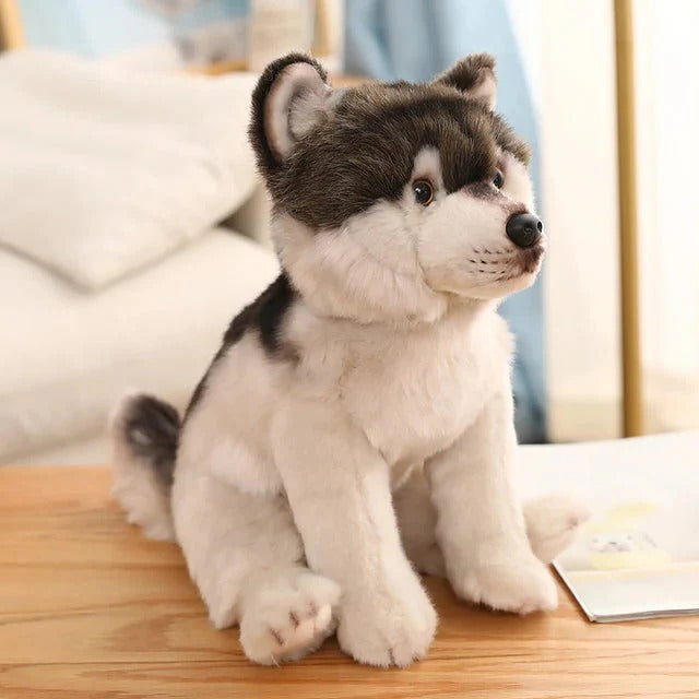 Soft Infant Dog and Hypoallergenic Toddler Plush