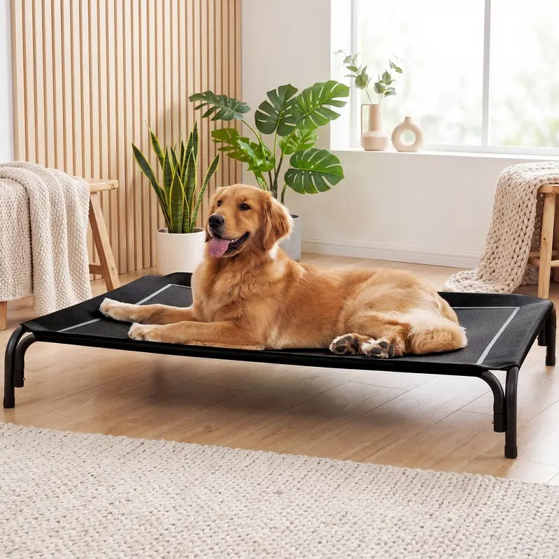 Elevated Large Dog Bed with Breathable Mesh for Indoor Outdoor Use