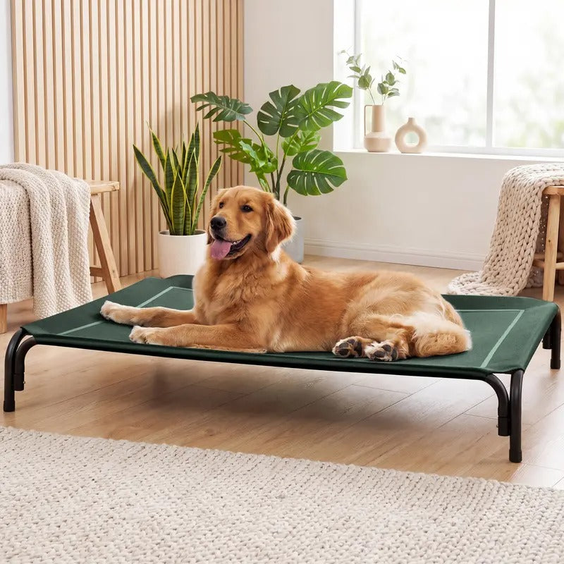 Elevated Large Dog Bed with Breathable Mesh for Indoor Outdoor Use
