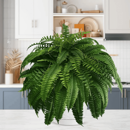 Artificial Boston Fern Set with UV Stabilized Polyethylene and Water Resistant Construction, 18 Pack