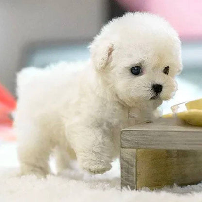 Interactive Realistic Plush Puppy Toy for Kids